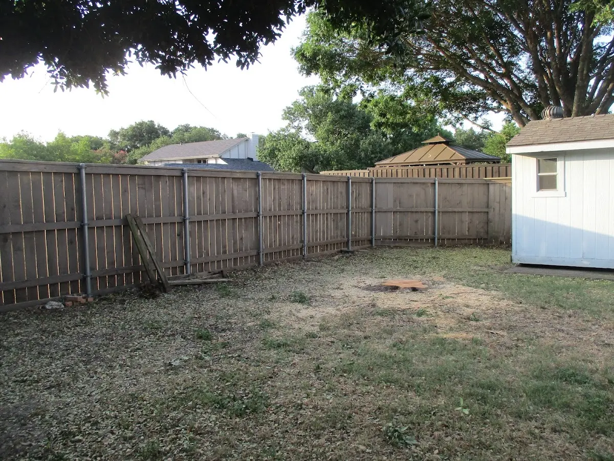 Cleared yard after professional tree removal in Port Kent