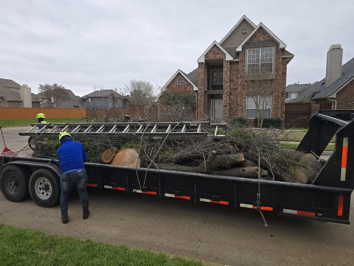 Expert Tree Fertilization with proper safety equipment in Port Kent